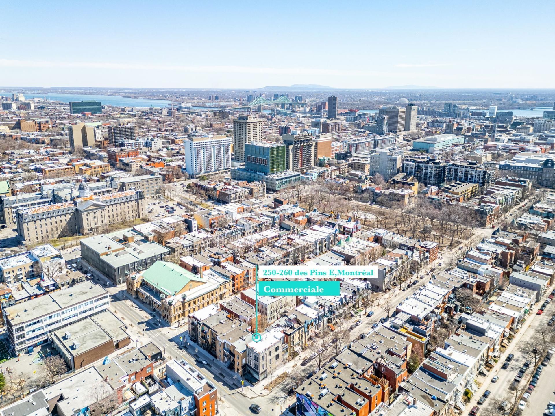 Photo - Overall View