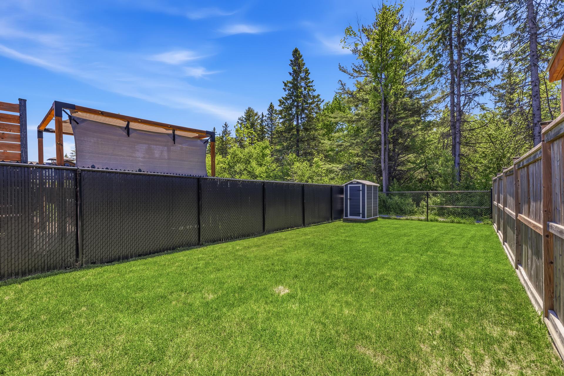 Photo - Backyard