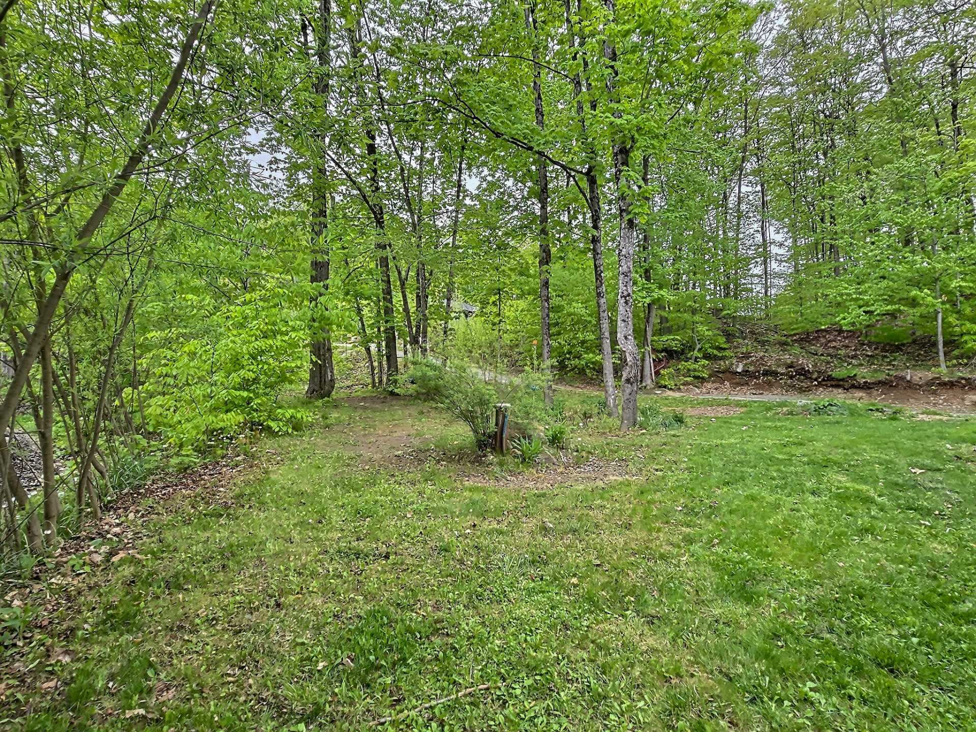 Photo - Terre/Terrain