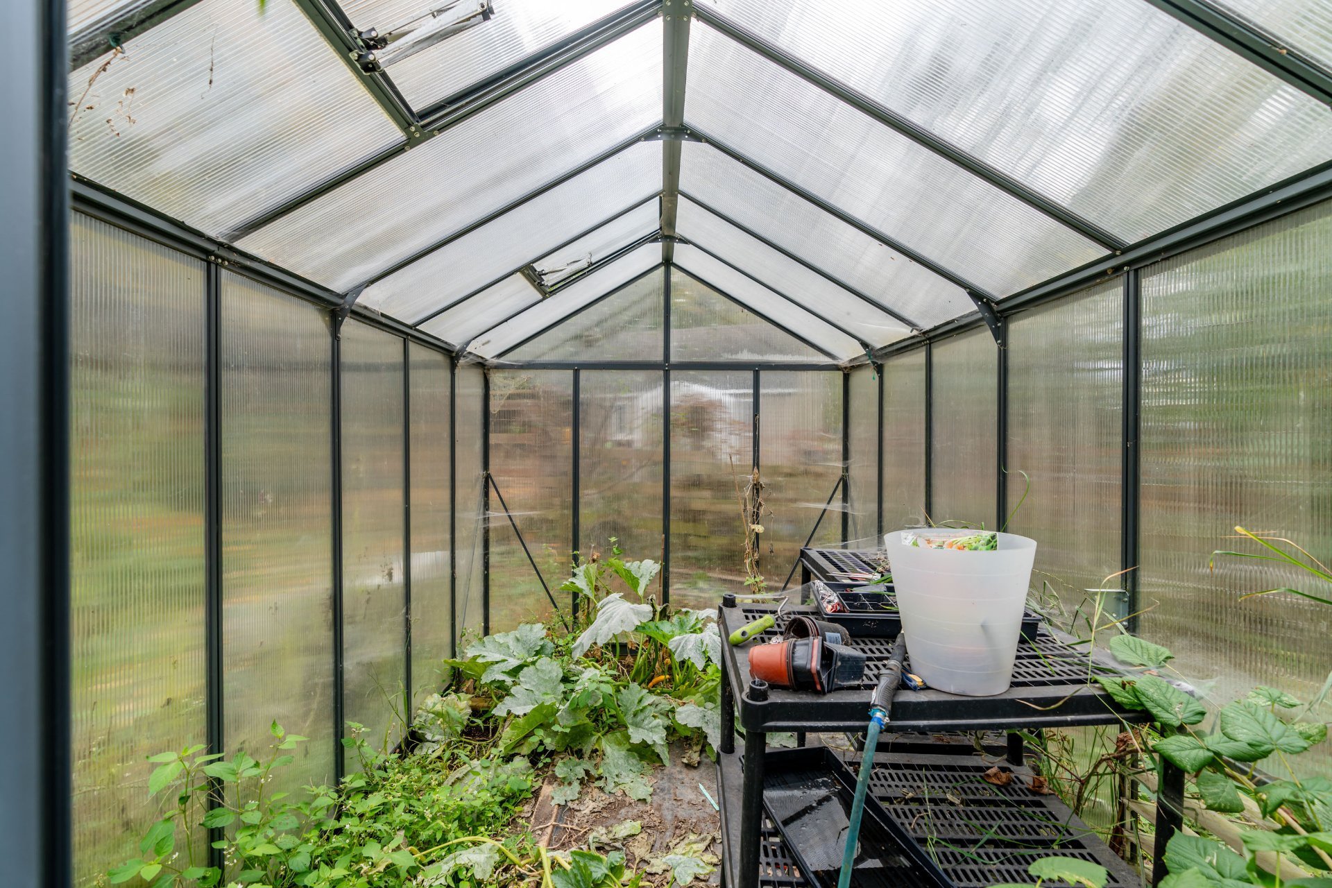 Photo - Greenhouse