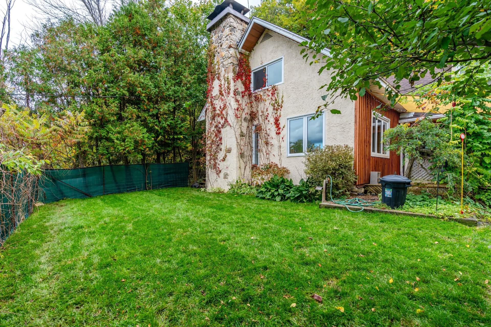 Photo - Backyard