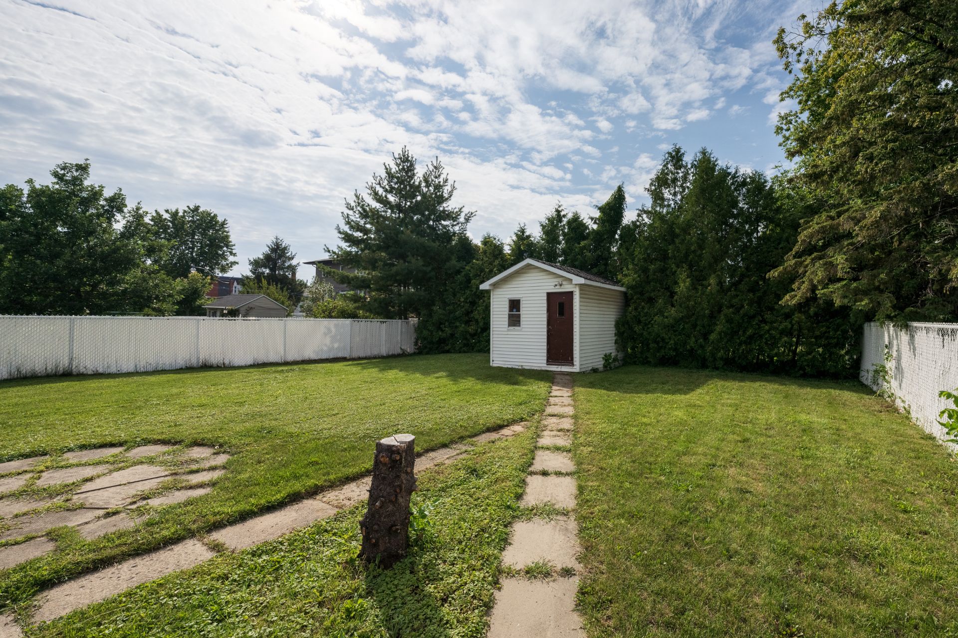 Photo - Backyard