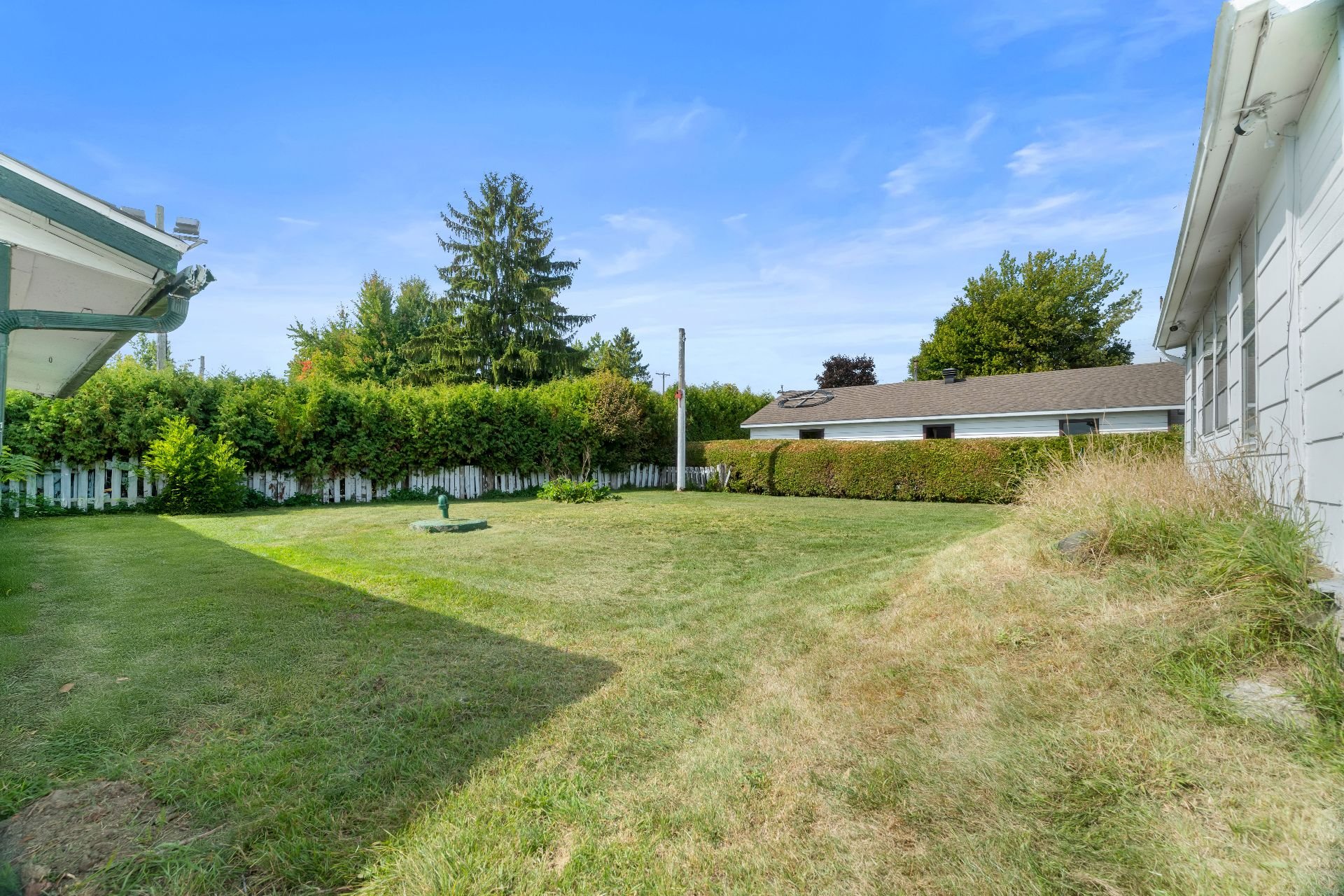 Photo - Backyard