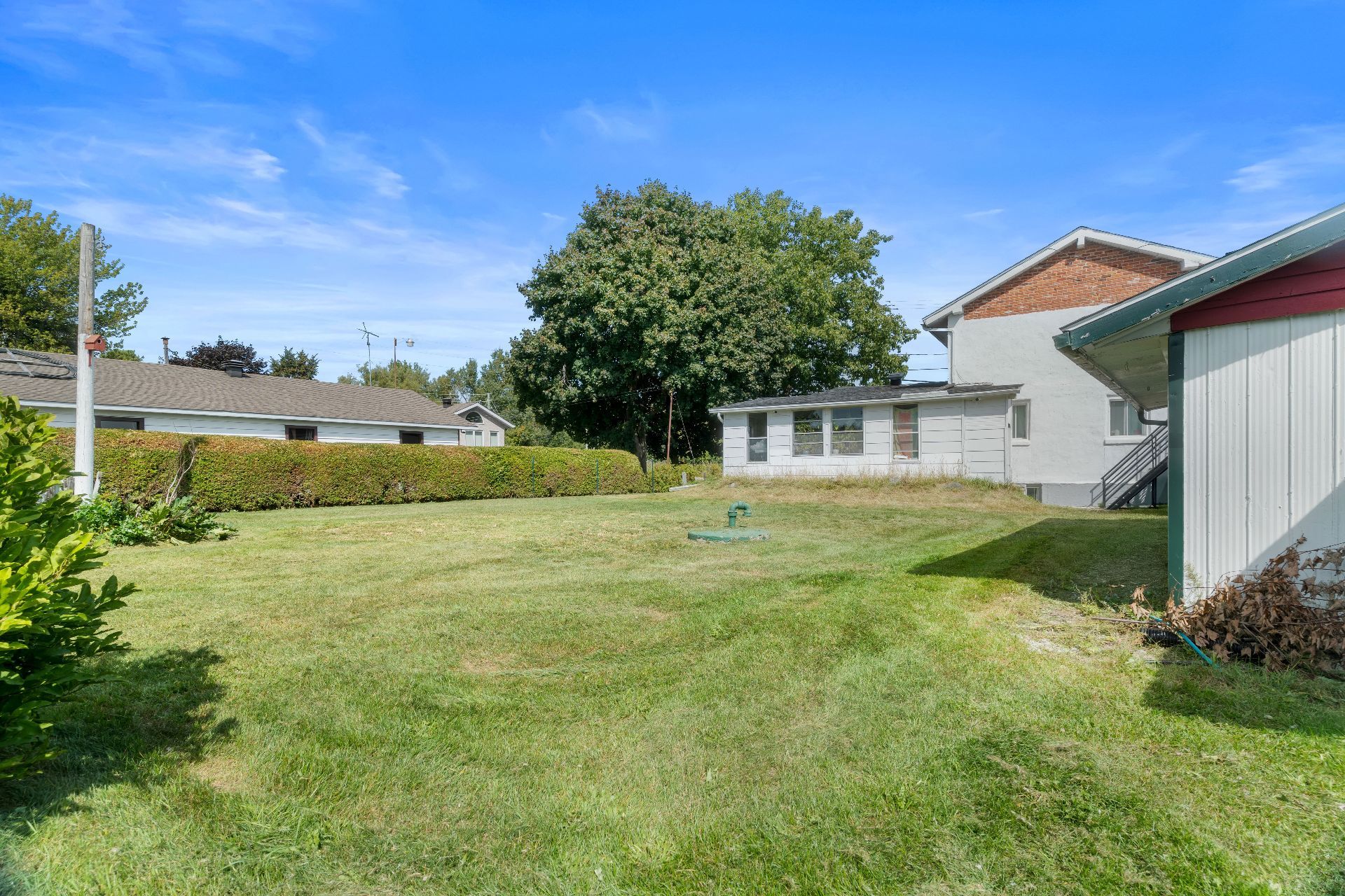 Photo - Backyard
