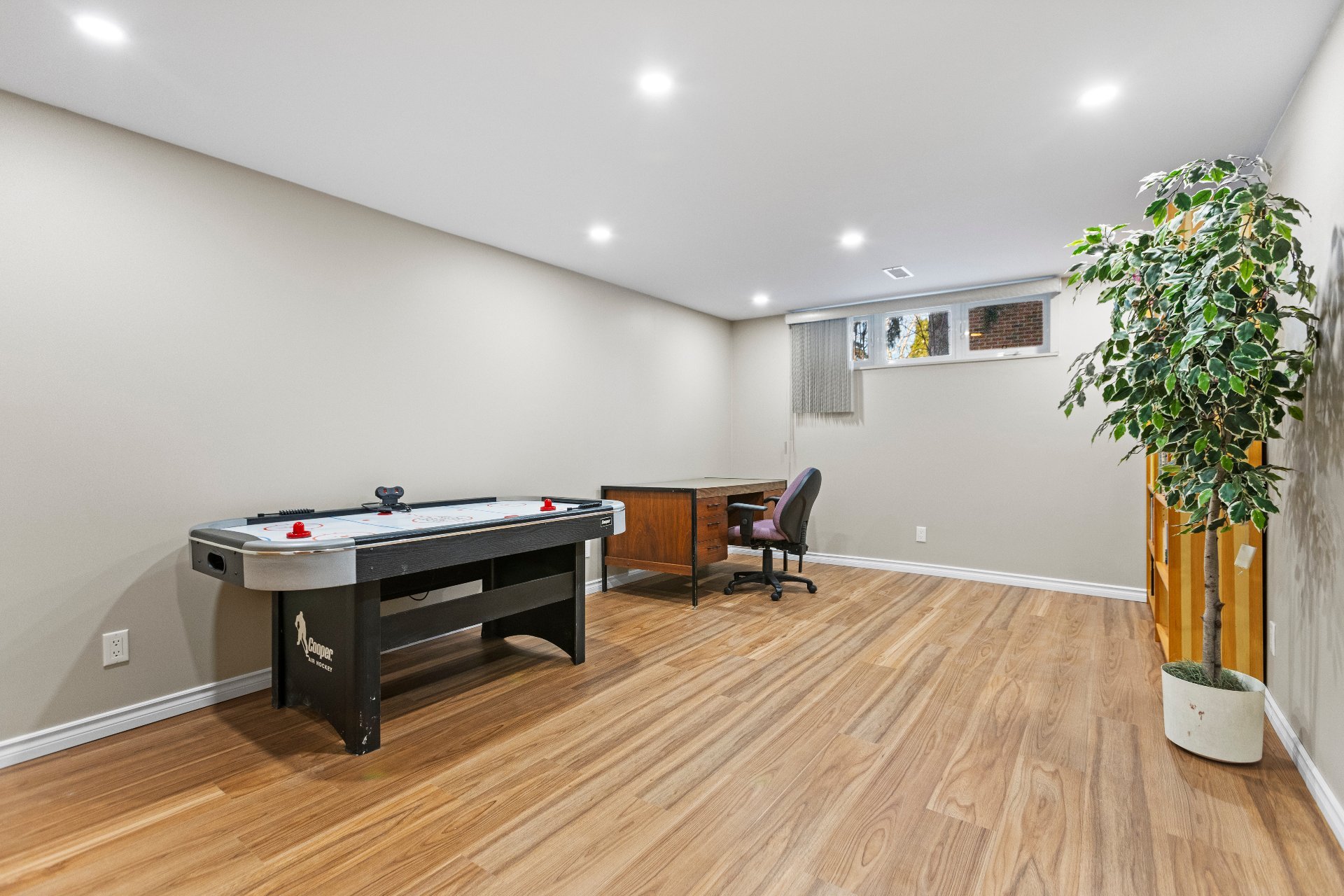 Photo - Basement