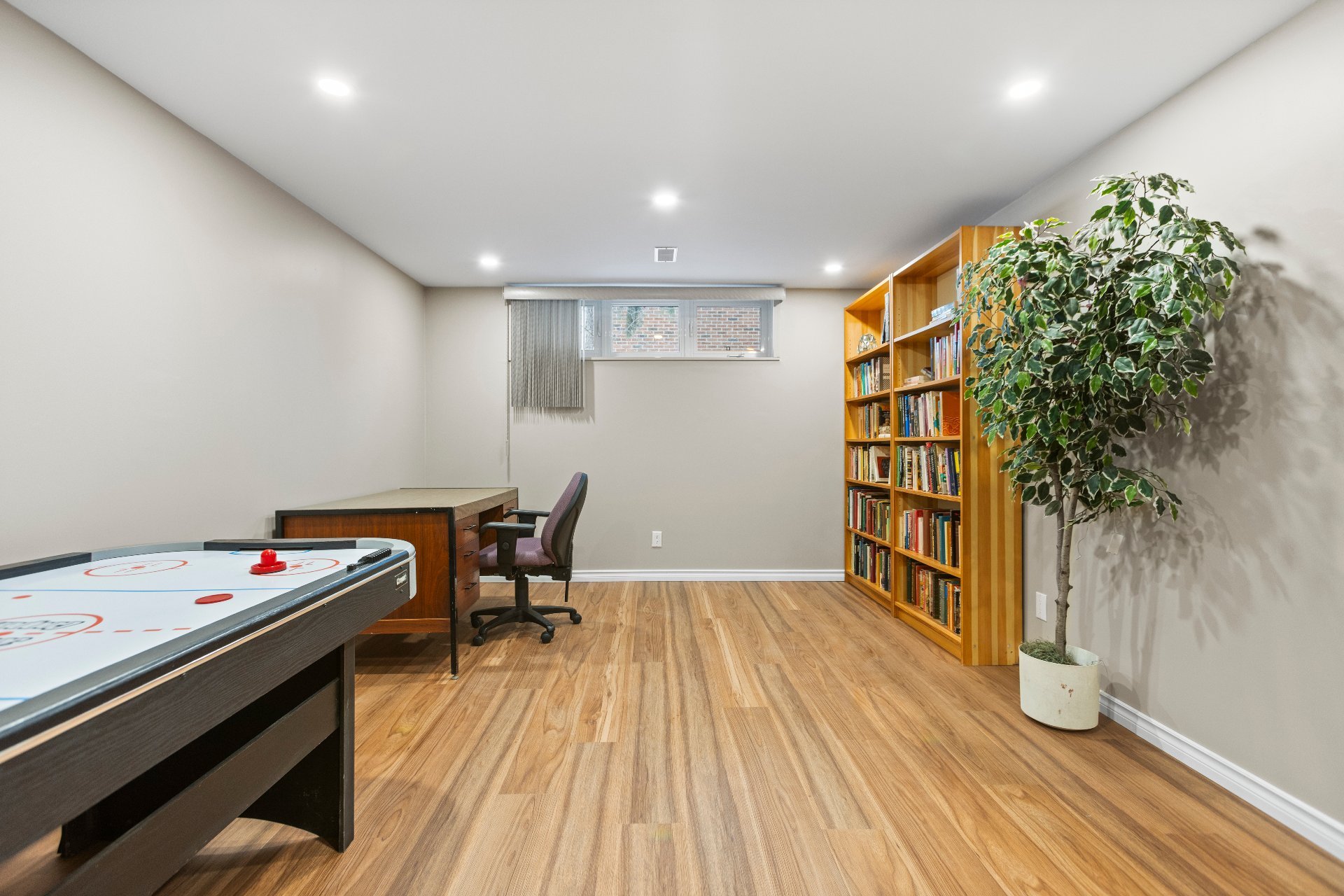 Photo - Basement