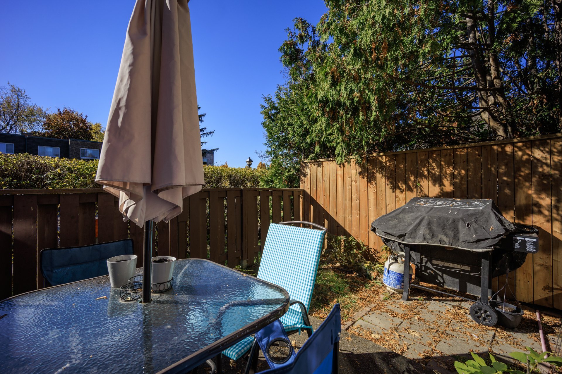 Photo - Backyard