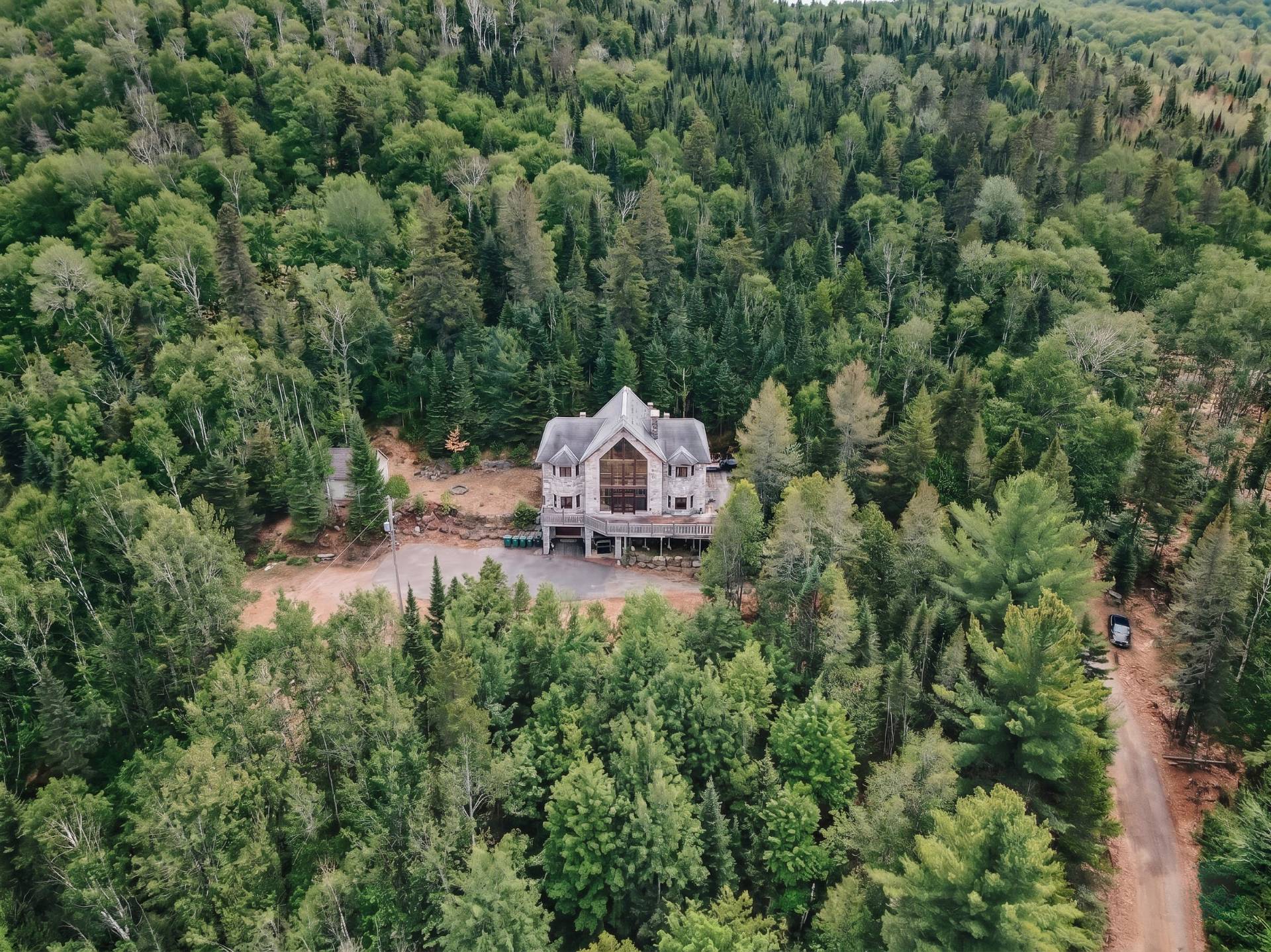 Photo - Wooded area