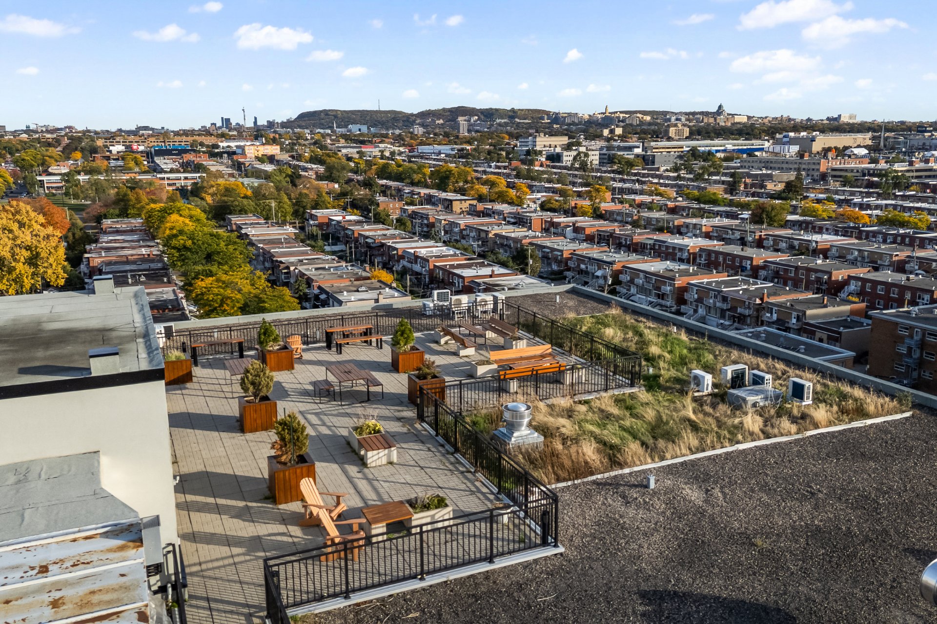 Photo - Aerial photo