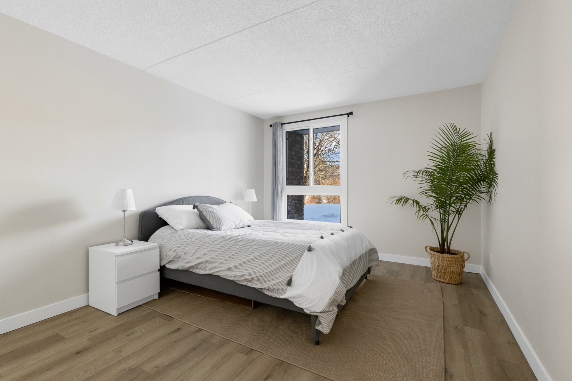 Photo - Chambre à coucher principale