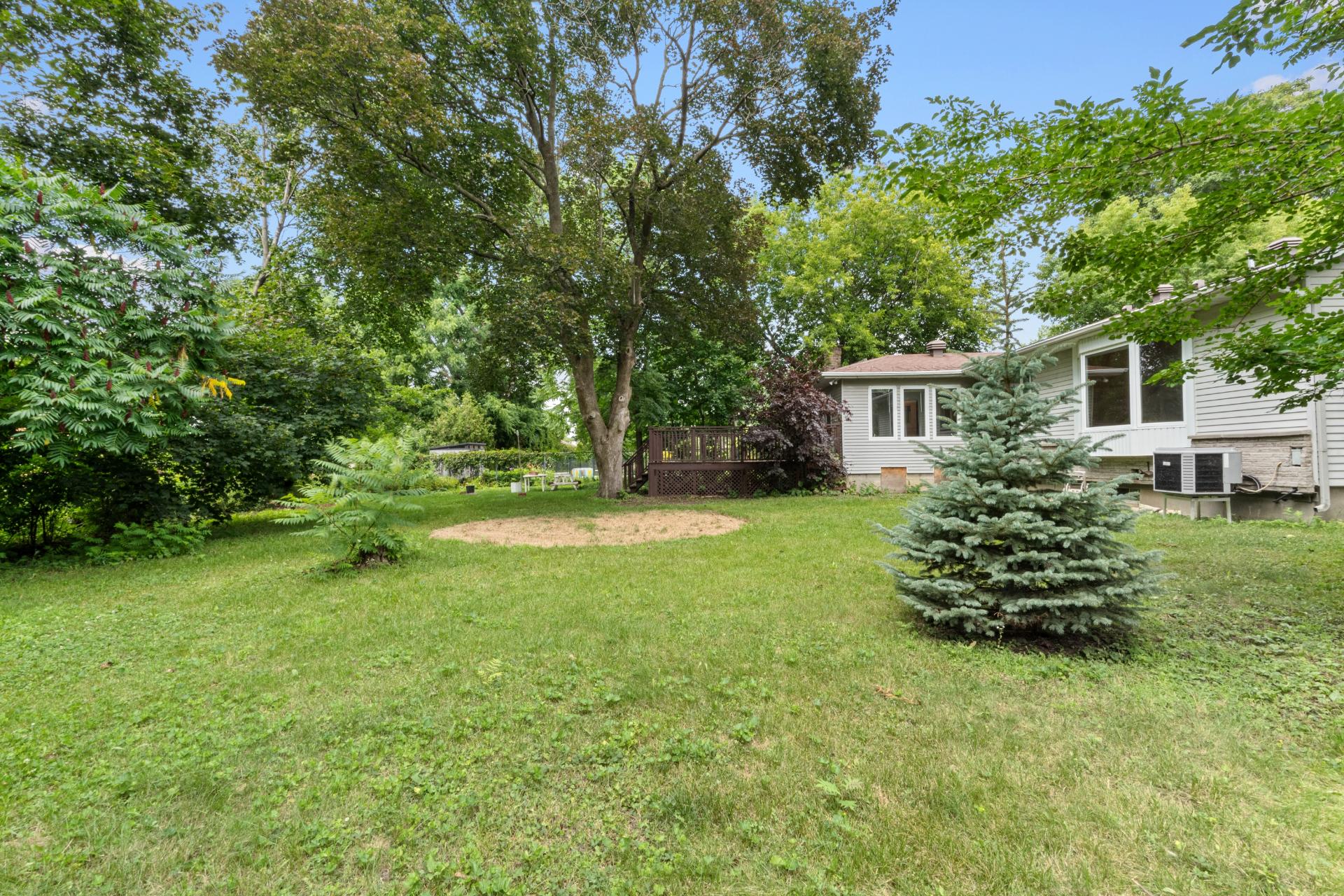 Photo - Backyard