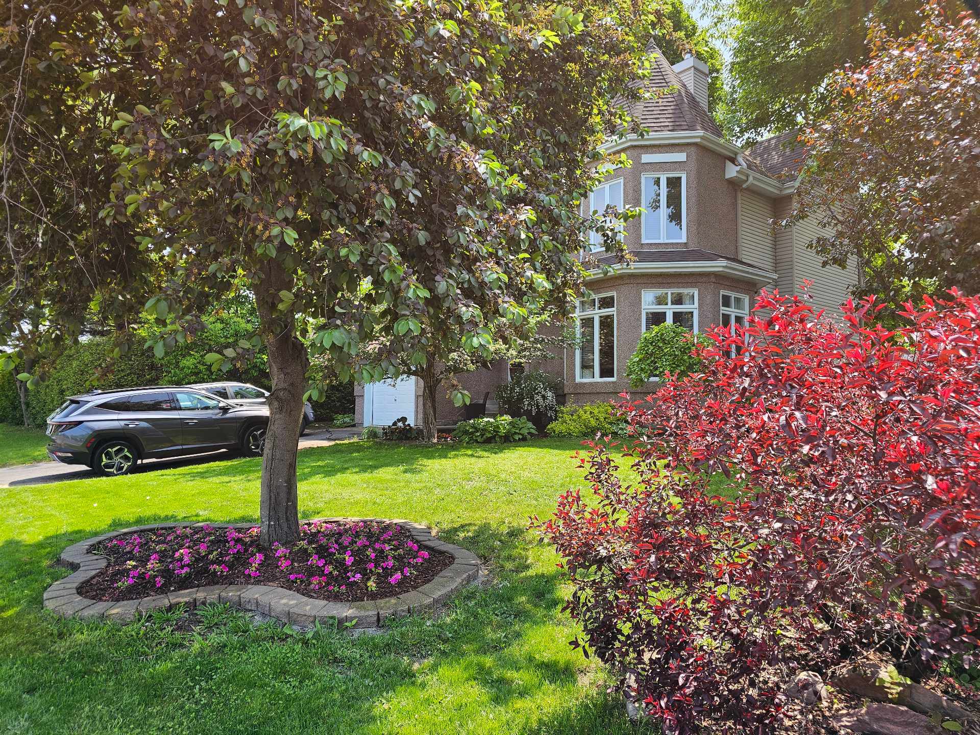 Photo - Terre/Terrain