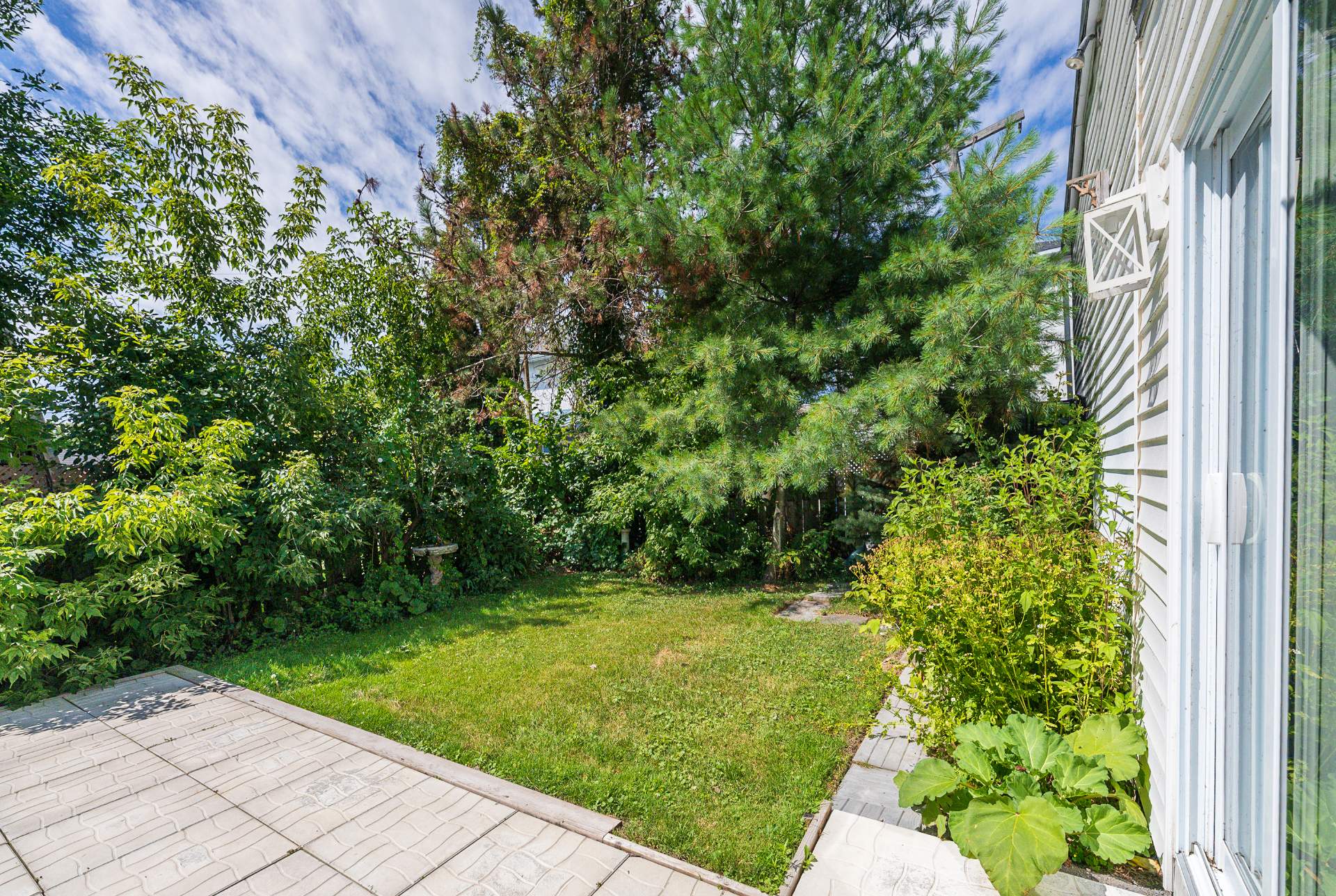 Photo - Backyard