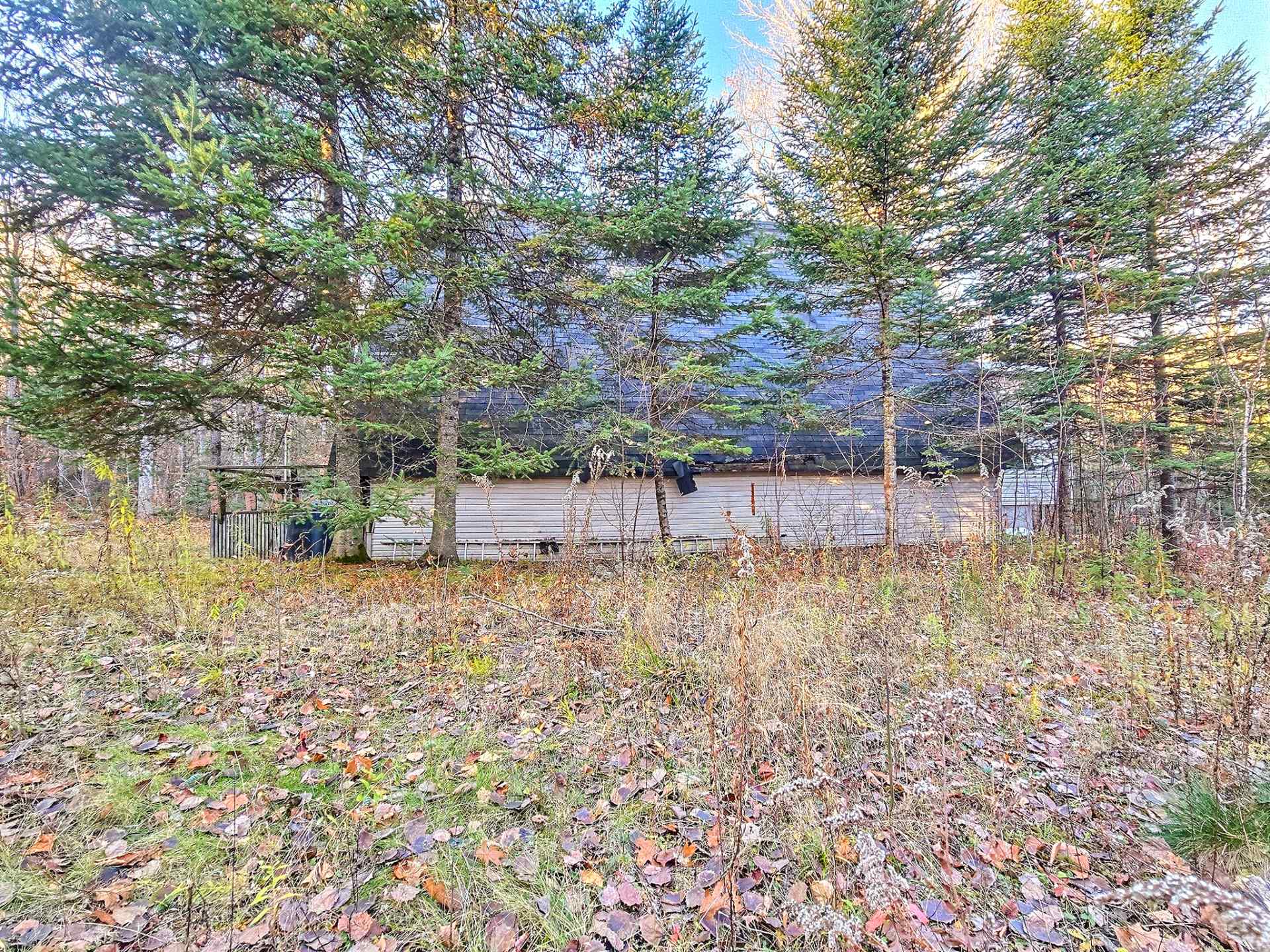 Photo - Overall View