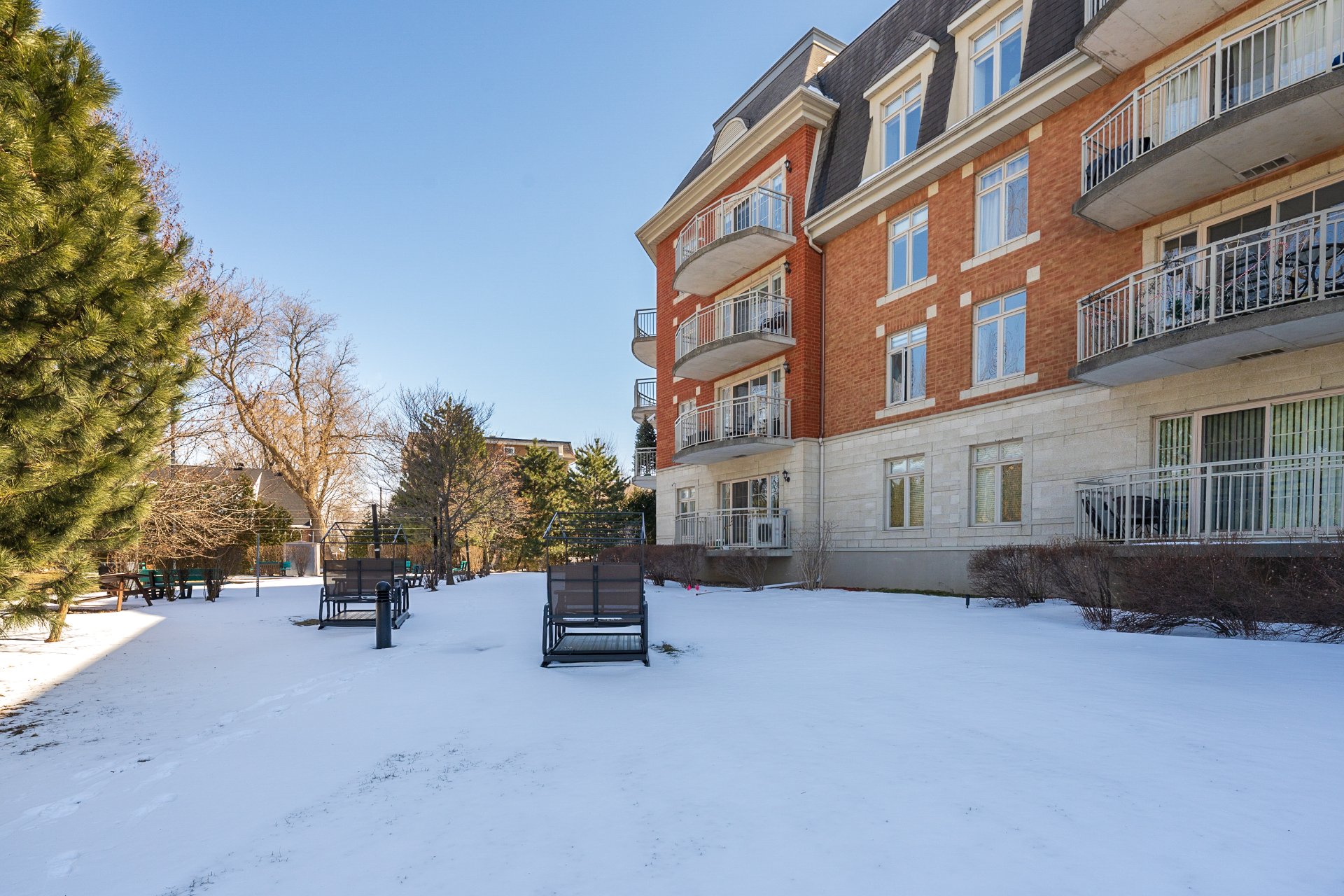 Photo - Face arrière