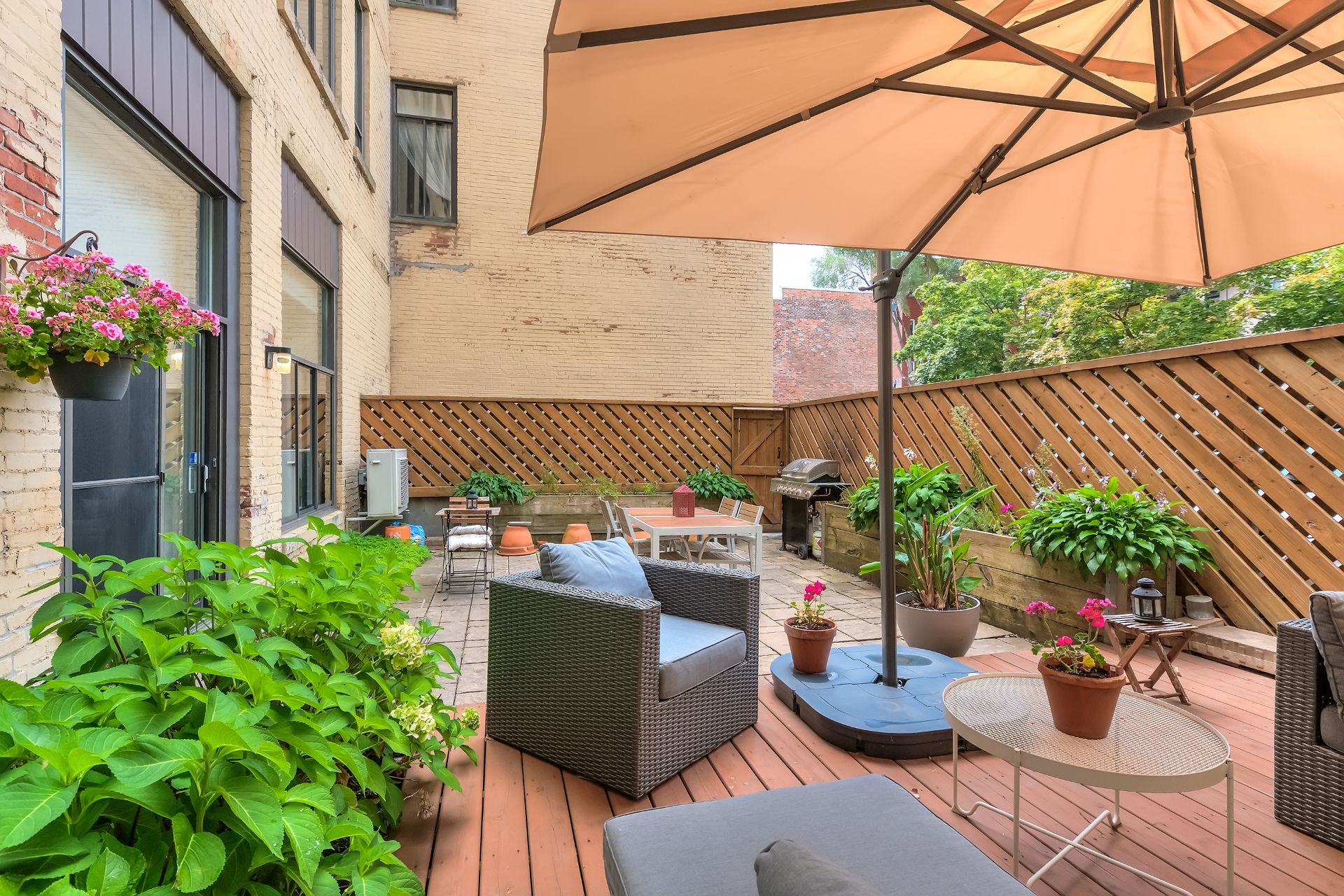 Photo - Backyard