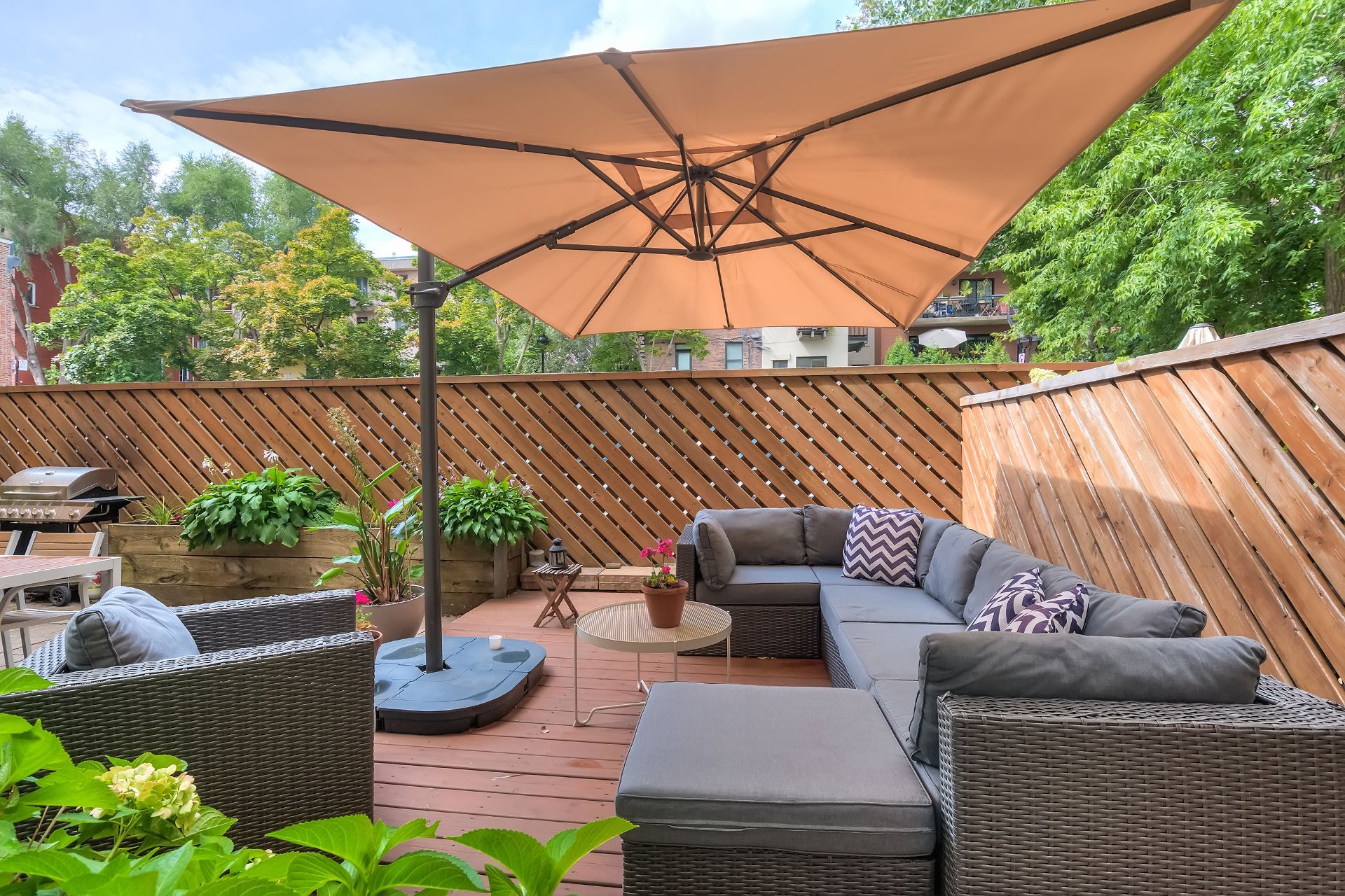 Photo - Backyard