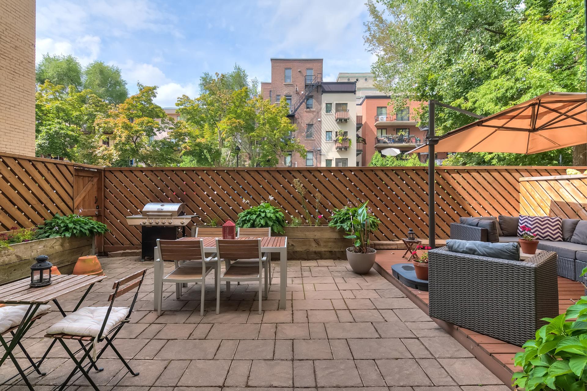 Photo - Backyard