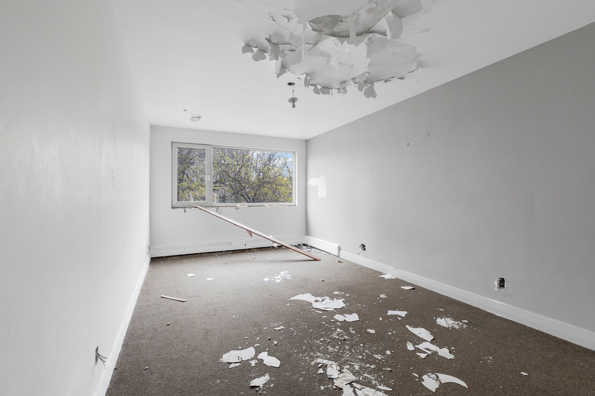 Photo - Interior