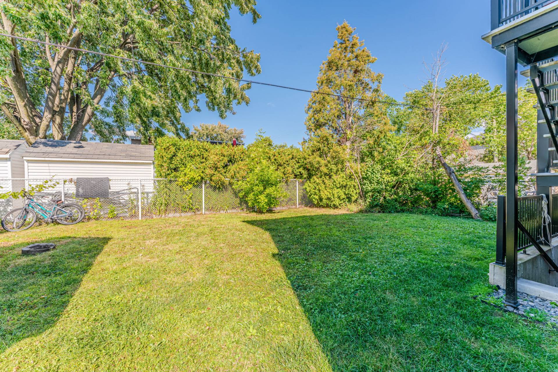 Photo - Backyard