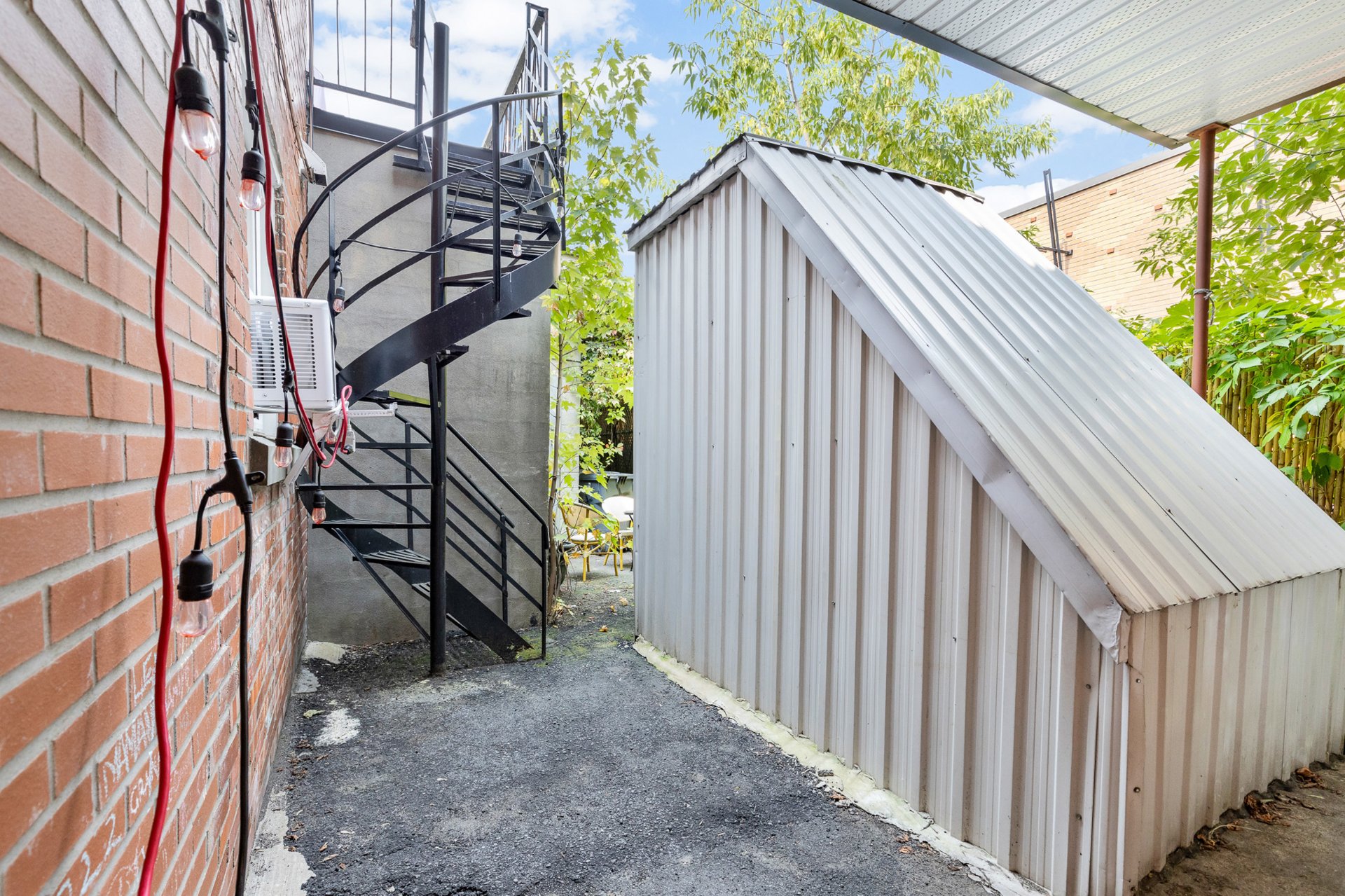 Photo - Backyard