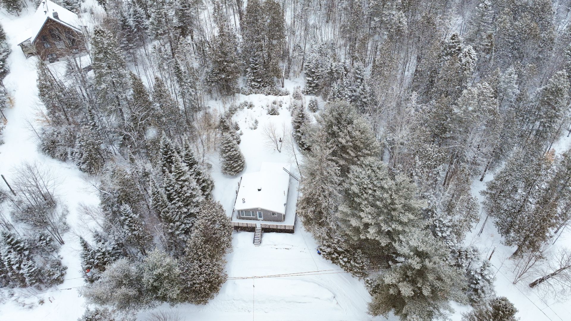 Photo - Aerial photo