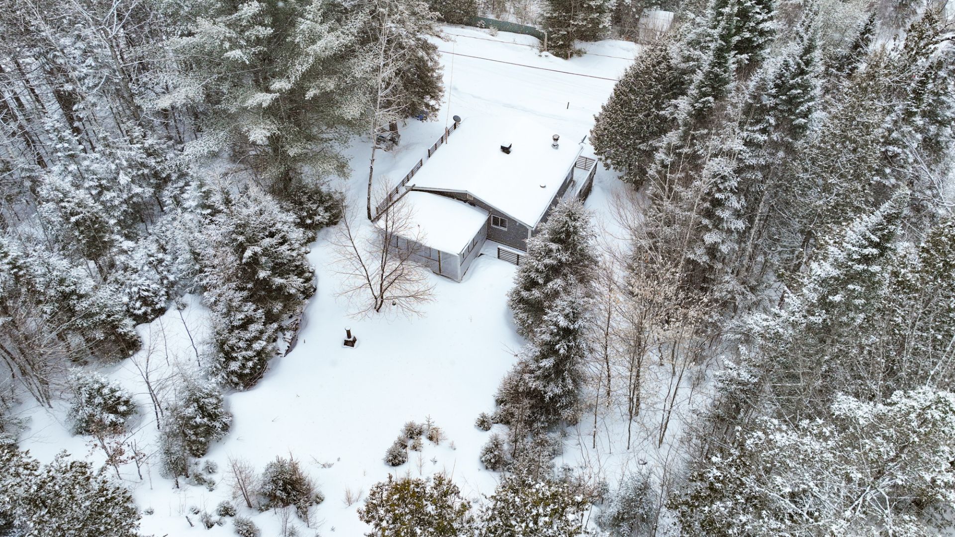 Photo - Aerial photo