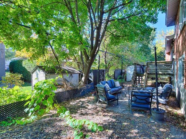 Photo - Backyard