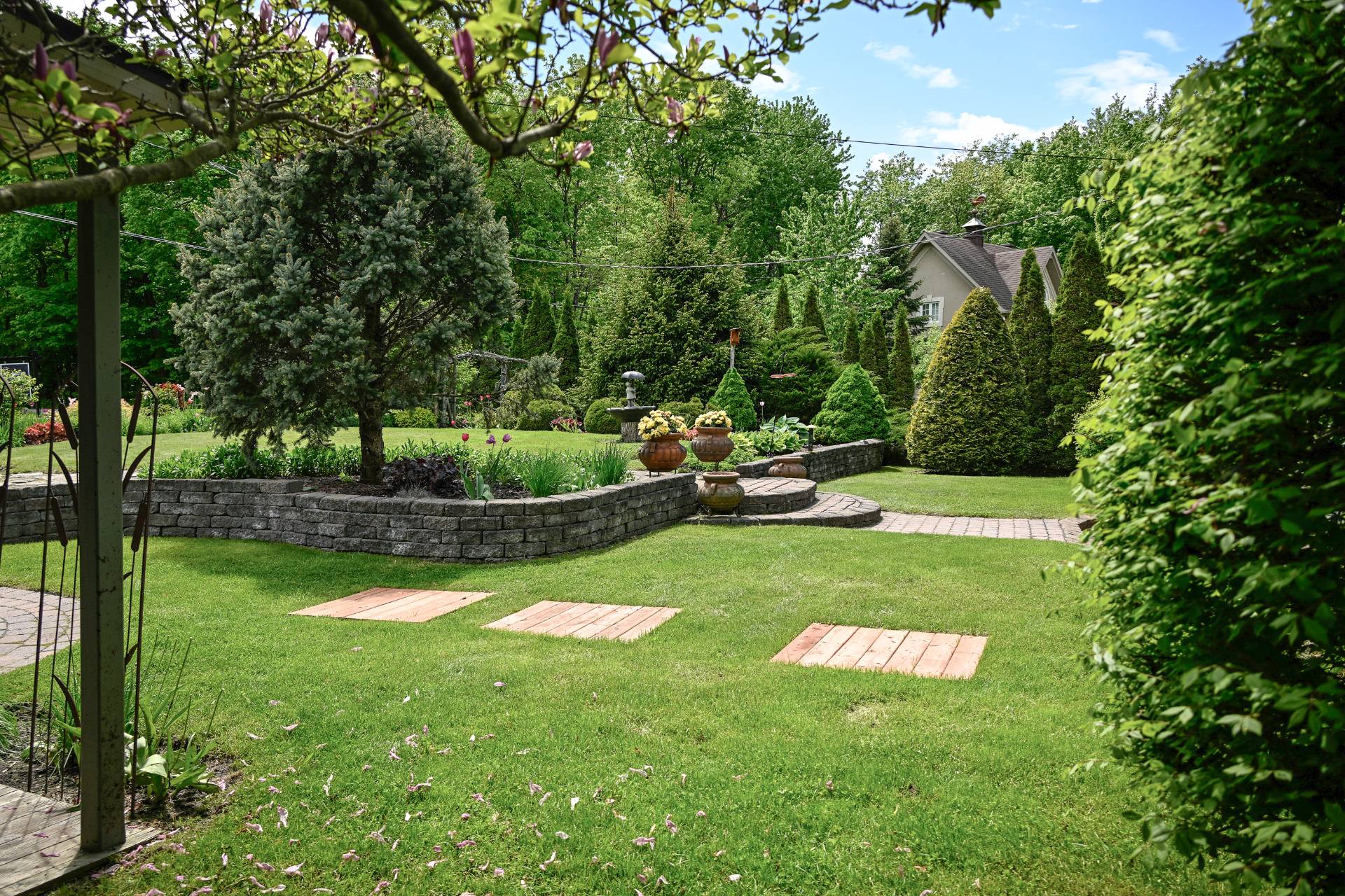 Photo - Jardin