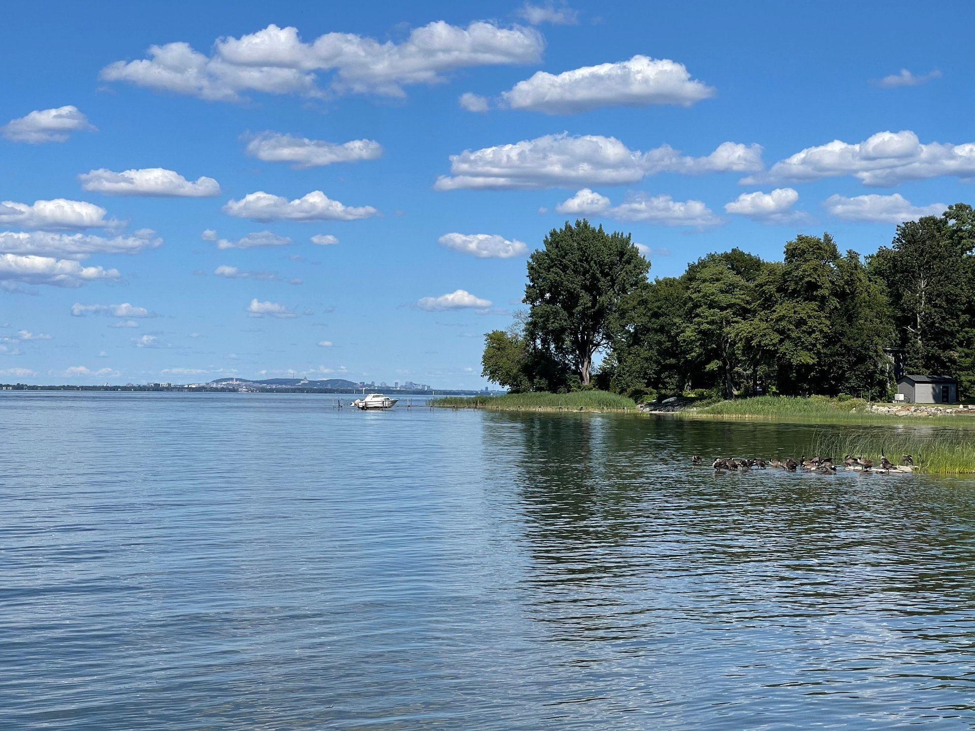 Photo - Bord de l'eau