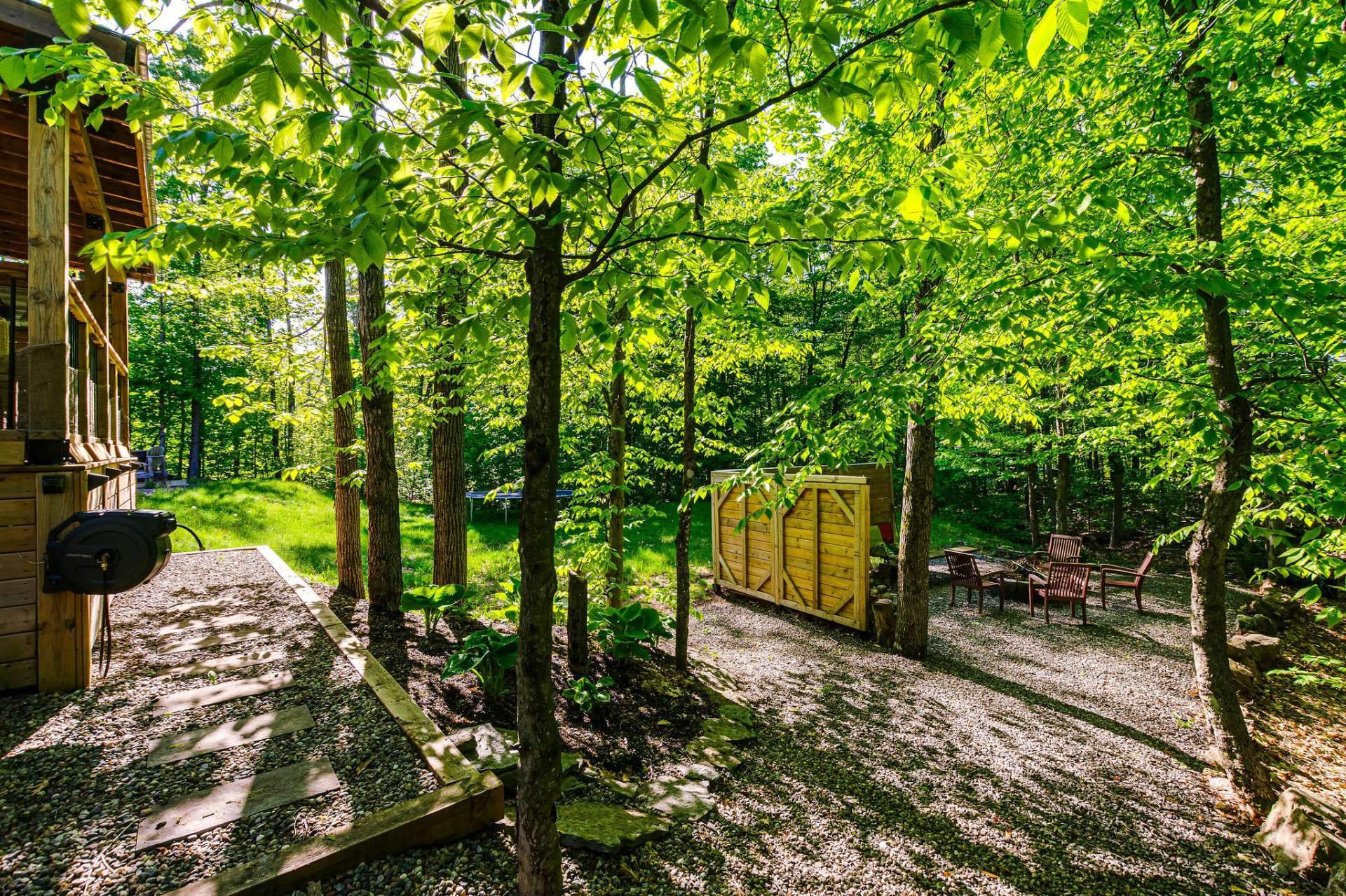 Photo - Backyard