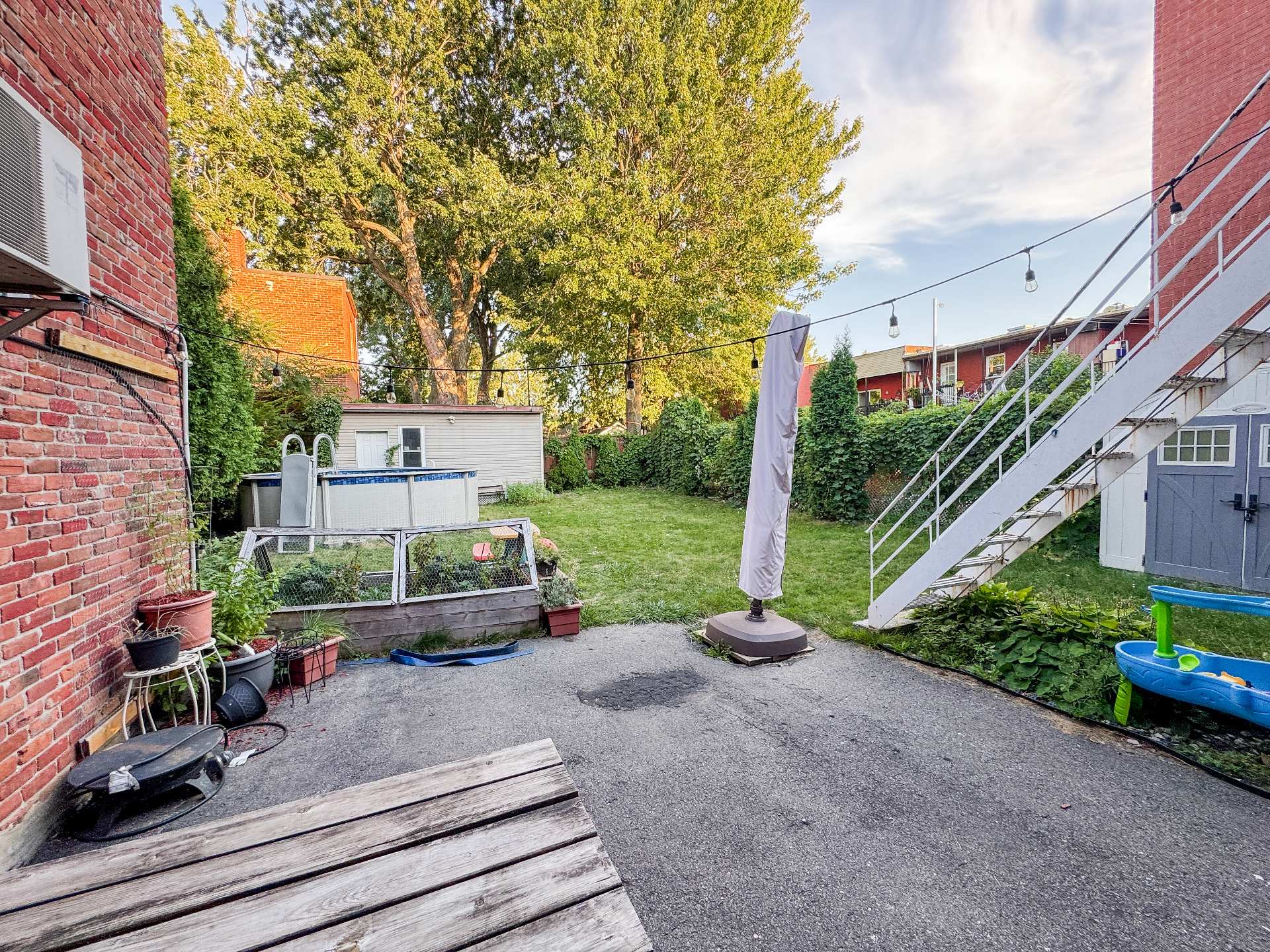 Photo - Backyard