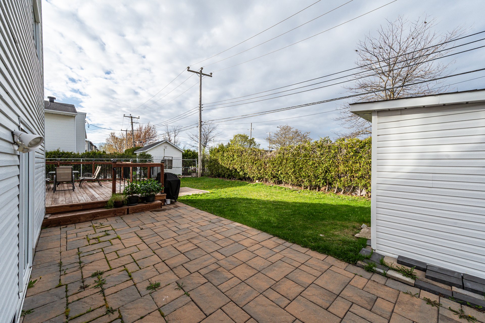 Photo - Backyard