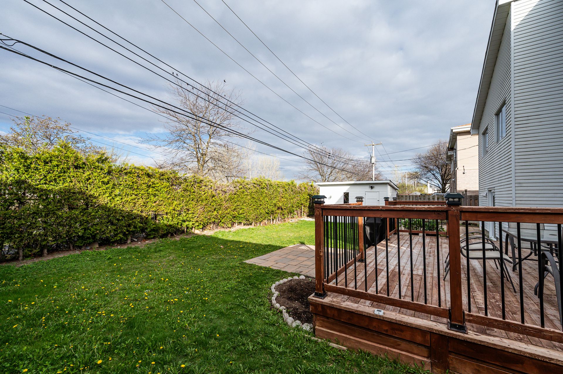 Photo - Backyard