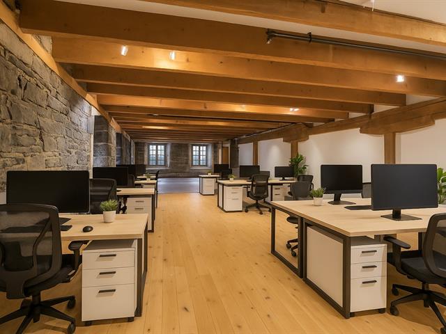 maison à vendre Montréal (Ville-Marie)