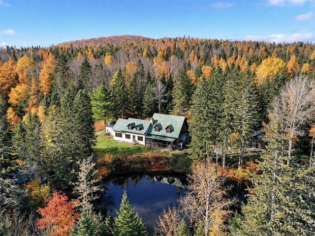 maison à vendre Sainte-Lucie-des-Laurentides