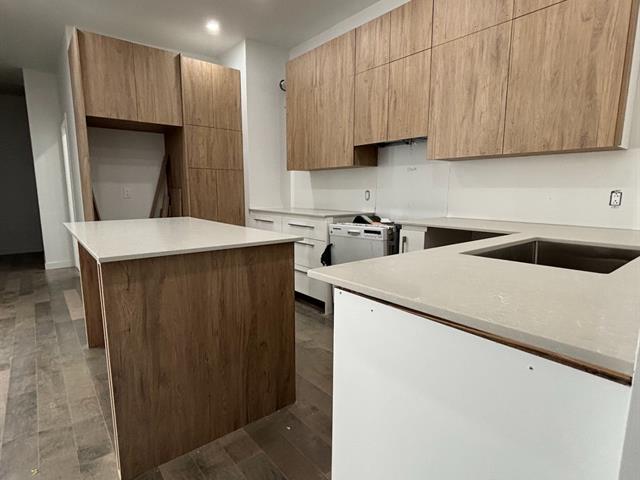 house for sale Montréal (Le Sud-Ouest)